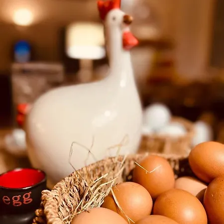 Les Vieilles Tours 3* Rocamadour