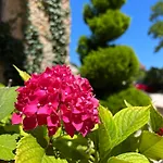 Les Vieilles Tours מלון רוקמאדור