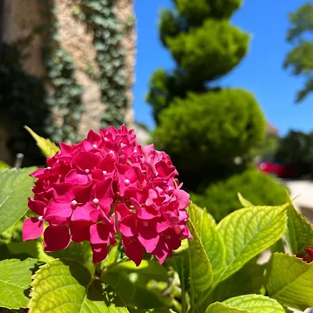 Les Vieilles Tours 酒店 罗卡马杜尔