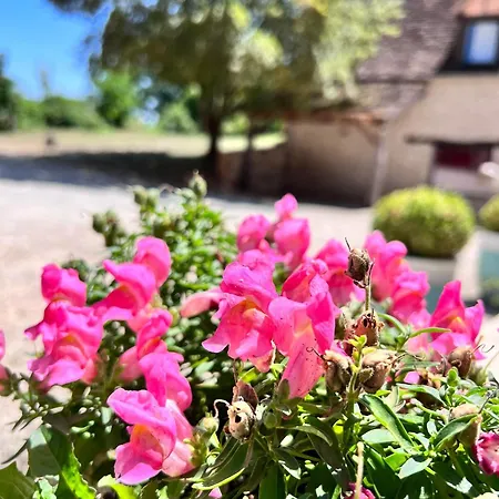 Les Vieilles Tours 罗卡马杜尔