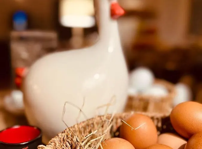 Les Vieilles Tours 3* Rocamadour