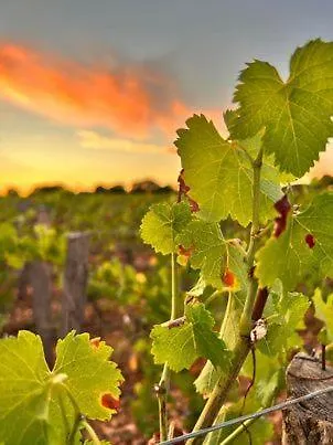 Les Vieilles Tours 3*